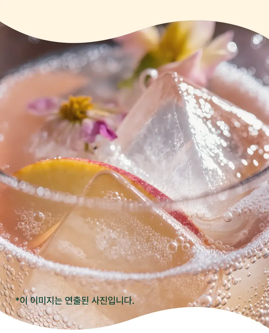 [NEW] 브리보 프리바이오틱 소다 복숭아 355ml 상세페이지 32